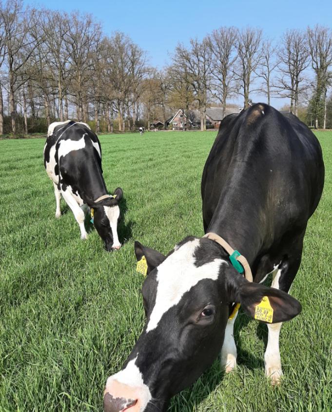 Hoeve De Laan Woudenberg Exteriér fotografie