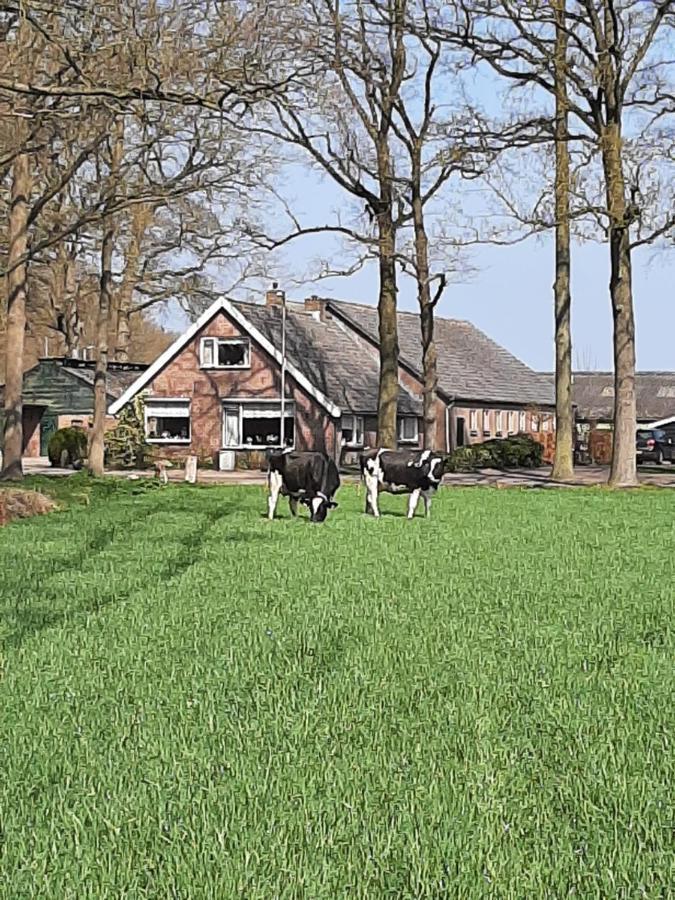 Hoeve De Laan Woudenberg Exteriér fotografie
